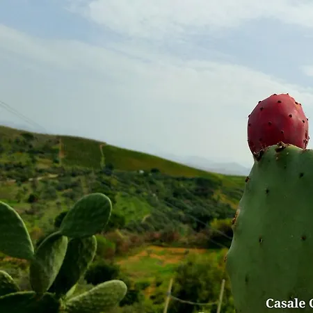 Casale Cudia