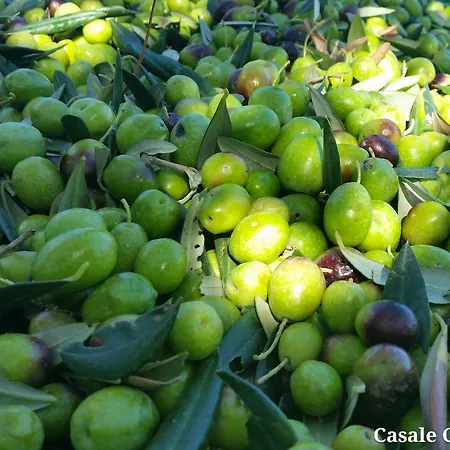 Kır Evi Casale Cudia *